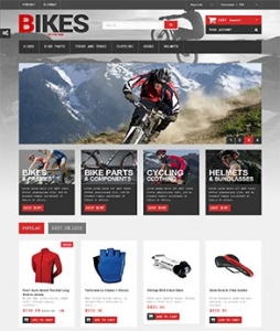 瑞晟外贸推广客户案例——运动装备类网站设计